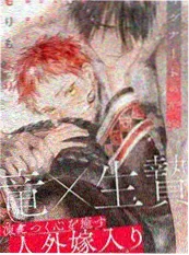 龙珠漫画原作封面